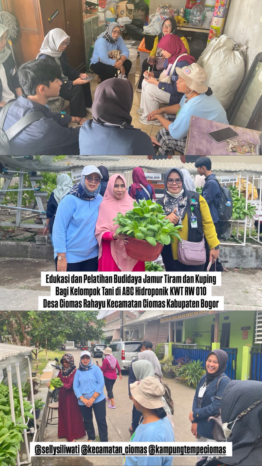 Edukasi dan Pelatihan Budidaya Jamur Tiram dan Kuping